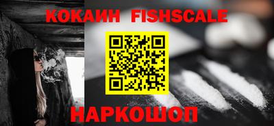 индика Пенза