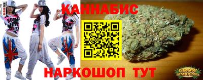 индика Пенза