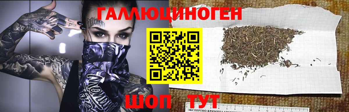 Псилоцибиновые грибы Psilocybe  Вход с VPN  Саранск  Псилоцибиновые грибы GOLDEN TEACHER 